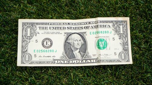 make dollar bill with blog content
